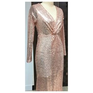 Blush Sequin Dress